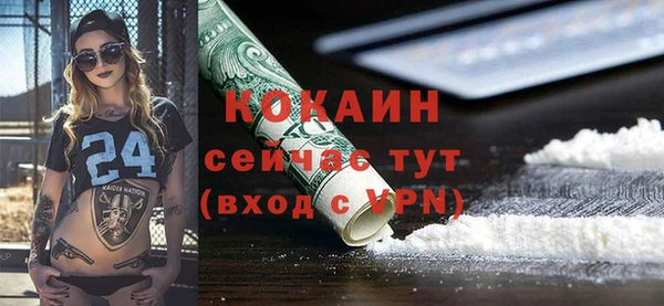 соль ск Алзамай