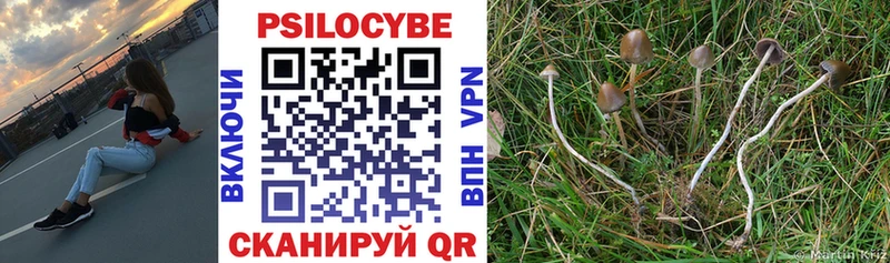 Псилоцибиновые грибы Cubensis  где можно купить наркотик  Приморск 